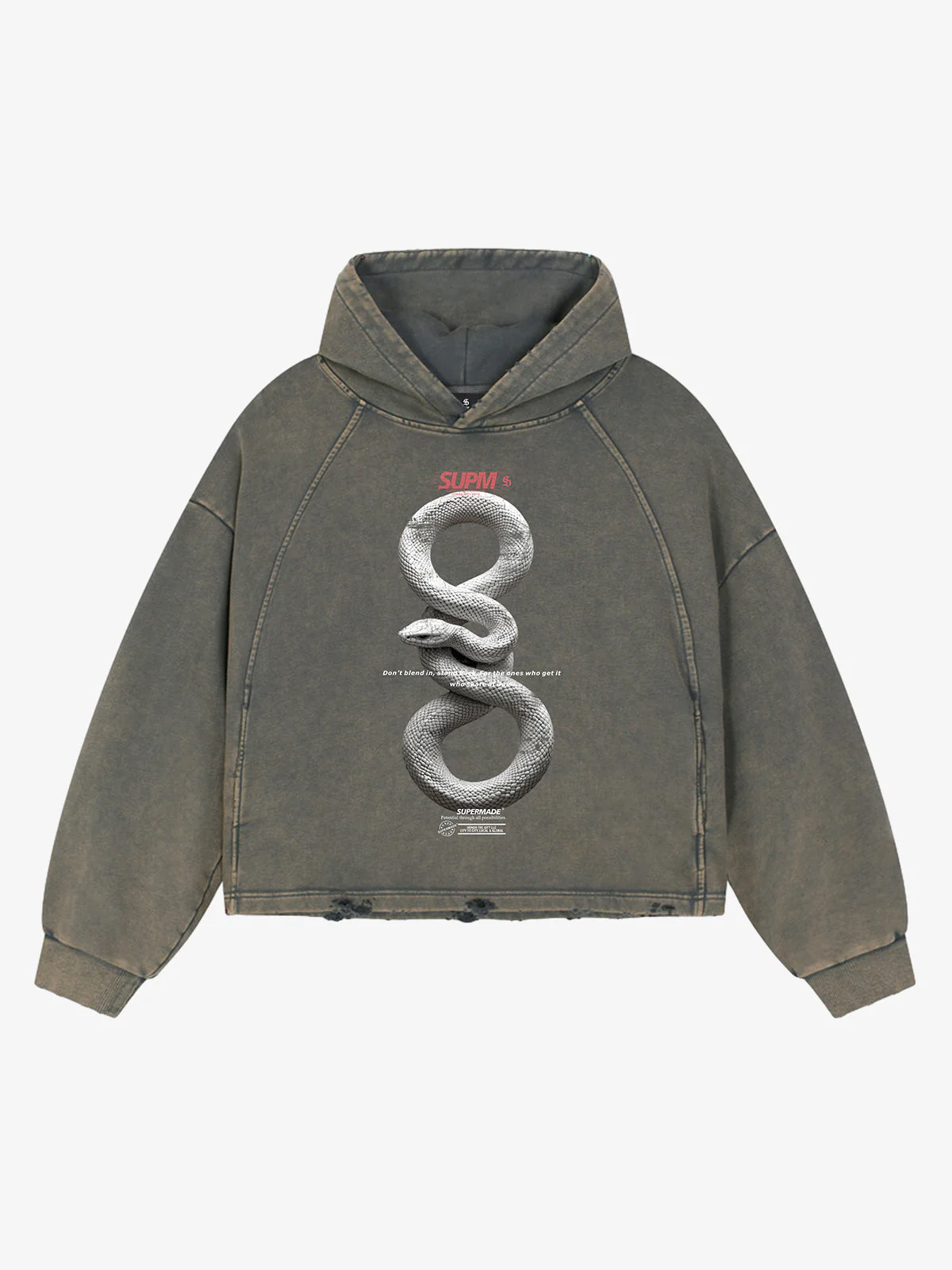 Vintage Washed Snake Appliqué Pullover Hoodie - Image 4