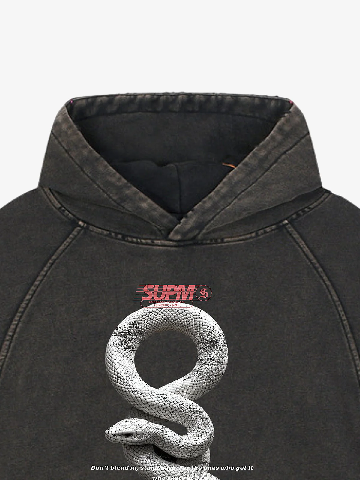 Vintage Washed Snake Appliqué Pullover Hoodie - Image 6