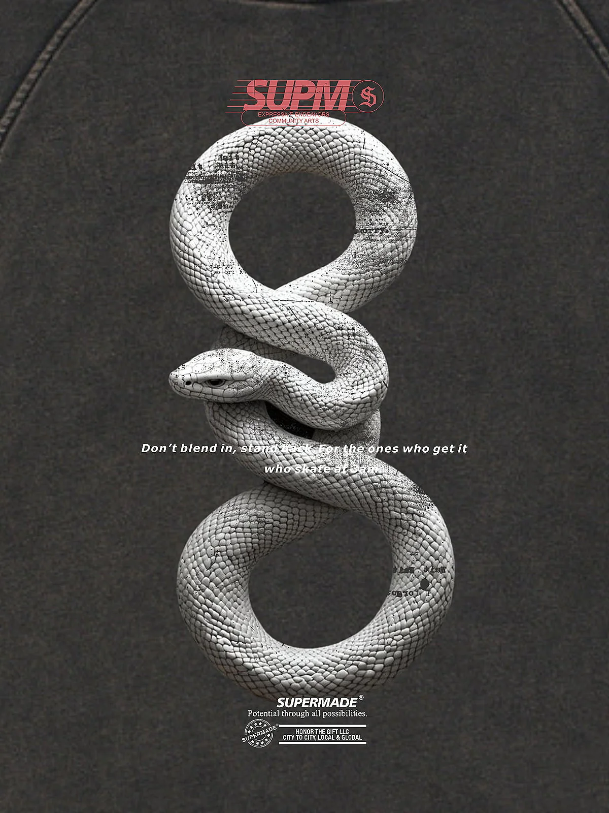 Vintage Washed Snake Appliqué Pullover Hoodie - Image 7